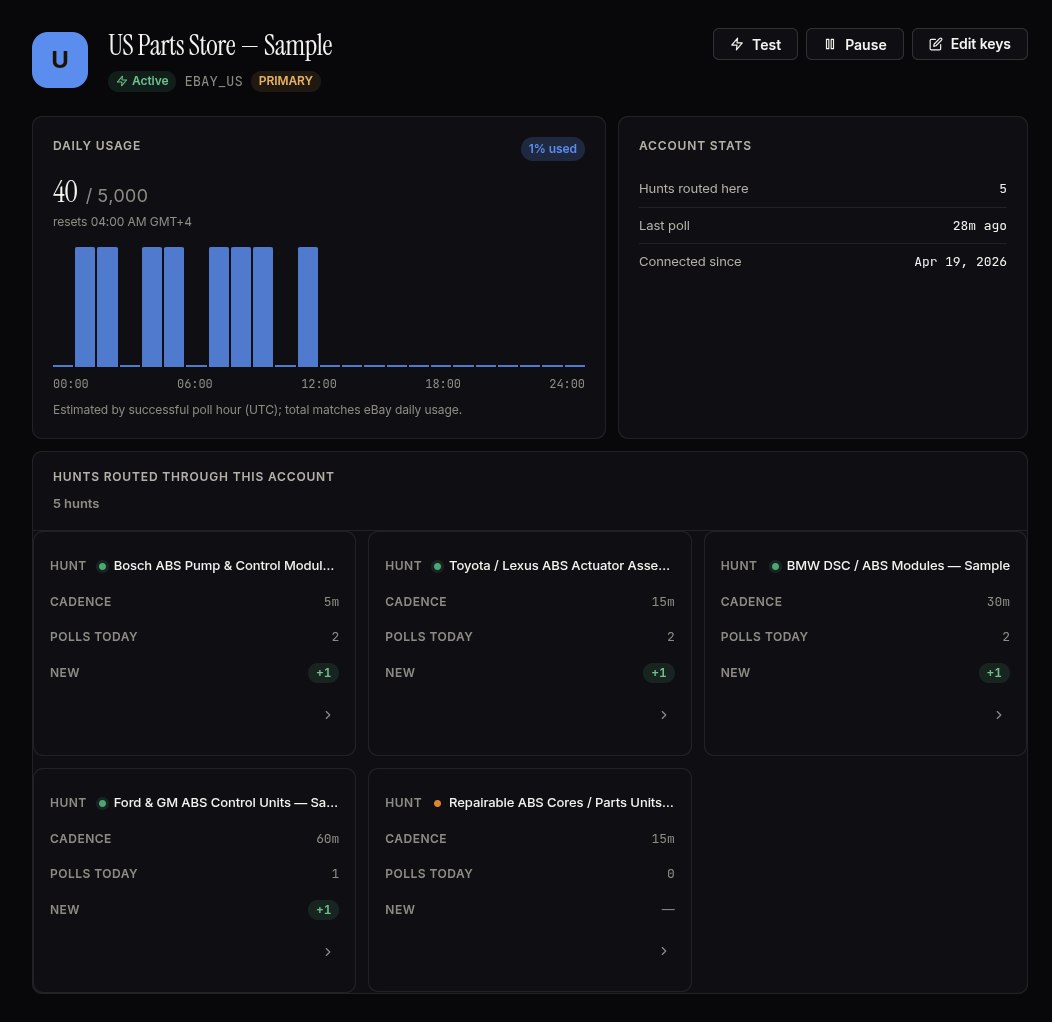 Sample eBay account quota view showing daily API usage, last poll, and hunts routed through the account.